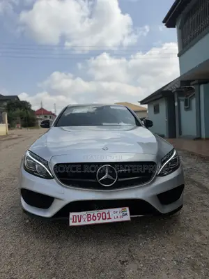 Mercedes-Benz C300 Luxury Sedan RWD (2.0L 4cyl 7A) 2017 Silver