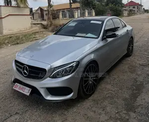 Mercedes-Benz C300 Luxury Sedan RWD (2.0L 4cyl 7A) 2017 Silver