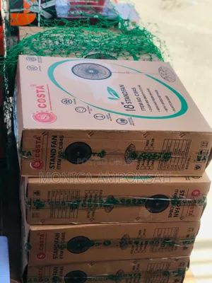 Standing Costa Electric Fan
