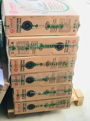 Standing Costa Electric Fan