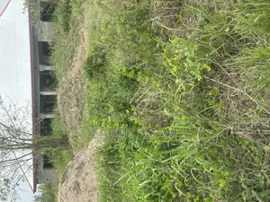 Full Plot of Land for Sale at Afari.