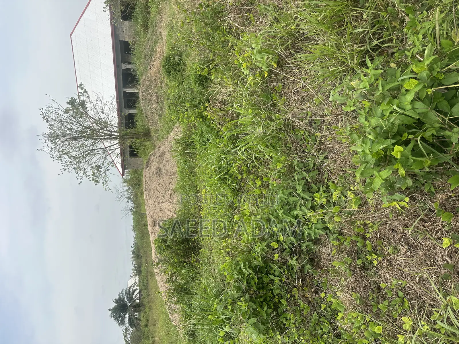 Full Plot of Land for Sale at Afari.