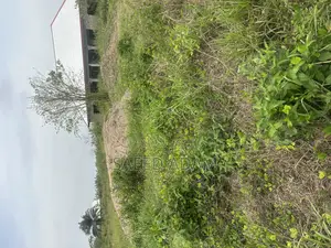 Full Plot of Land for Sale at Afari.