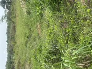 Full Plot of Land for Sale at Afari.