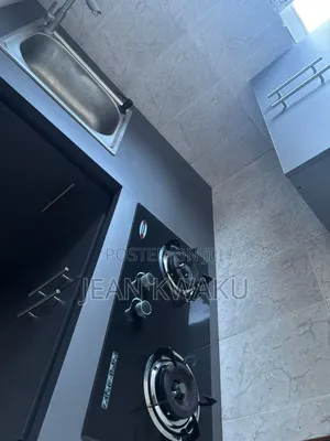 Furnished 1bdrm Apartment in Dzorwulu for rent
