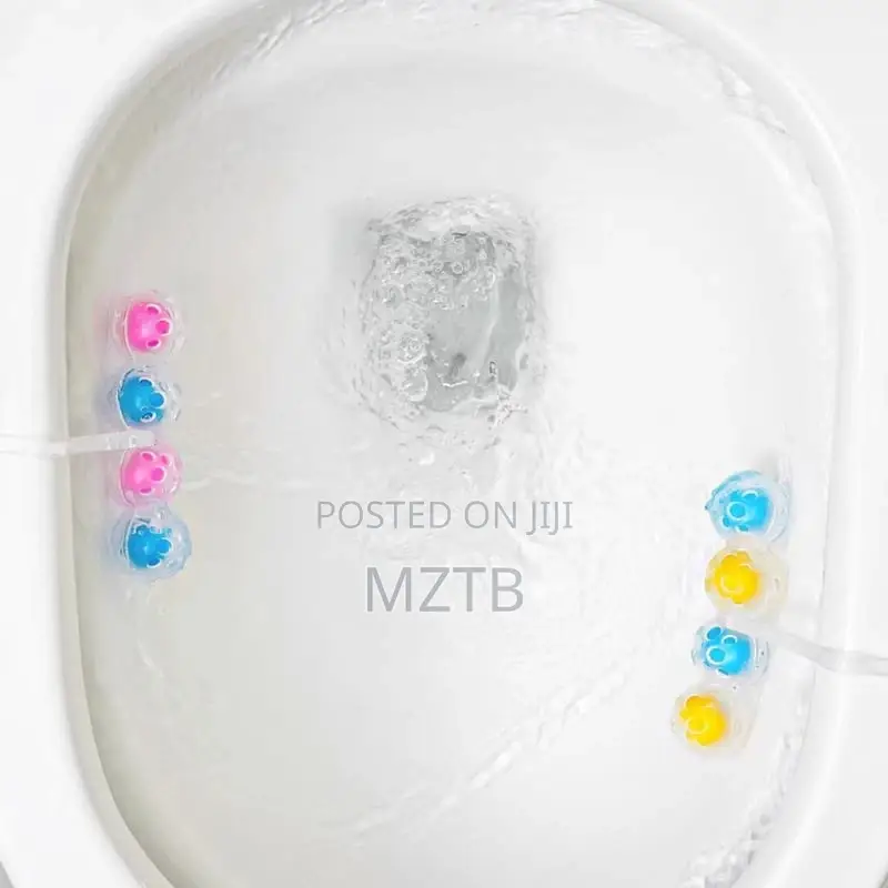 4-in-1 Automatic Toilet Cleaner