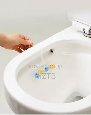 4-in-1 Automatic Toilet Cleaner