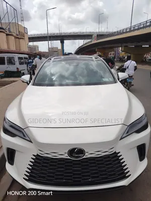 2023–2025 Lexus Rx Series Sunroof Installation