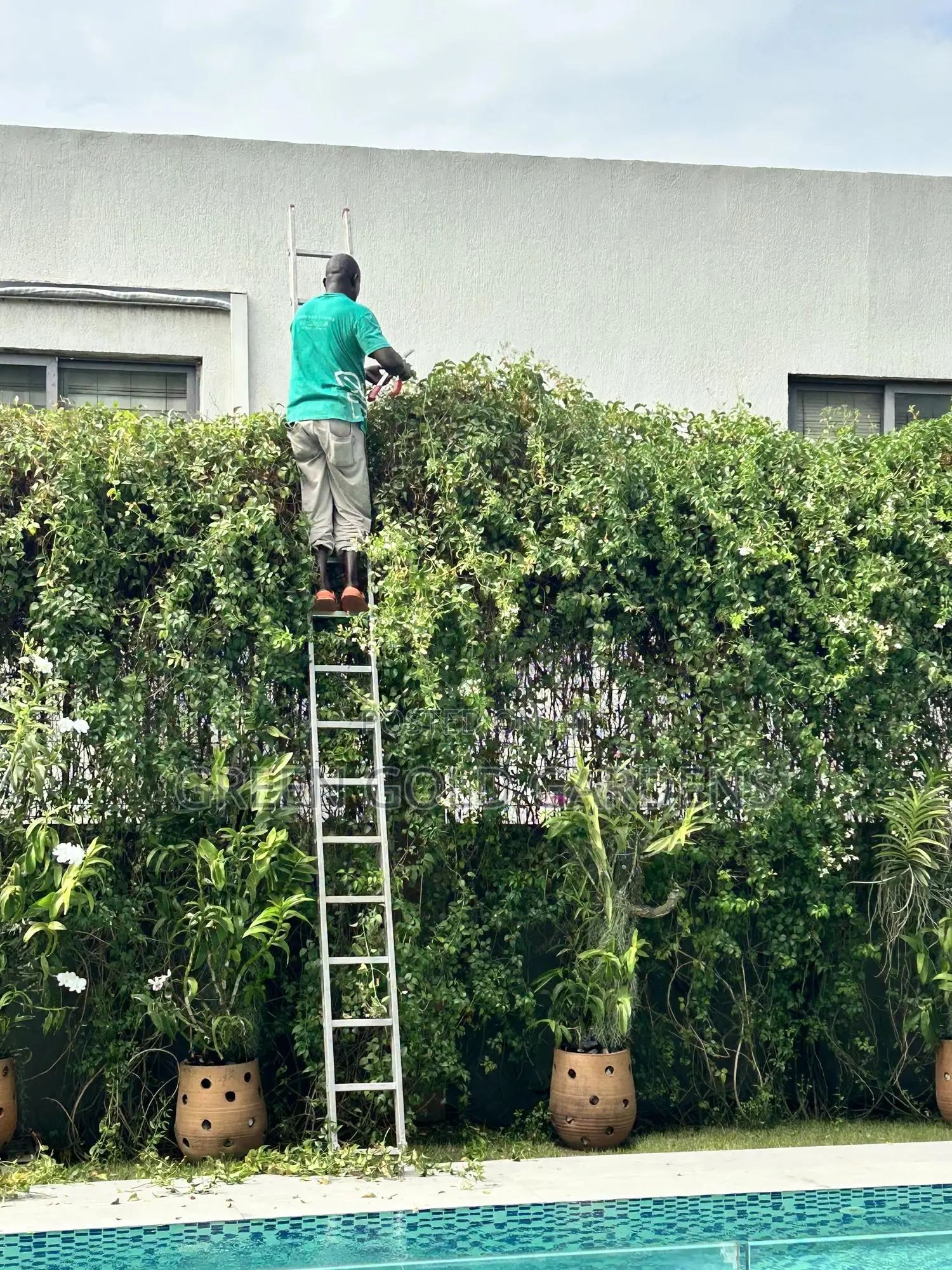 Landscaping and Garden Maintenance Services