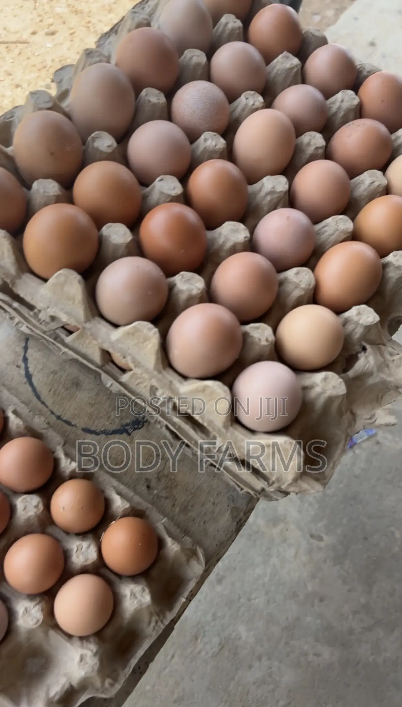 Fresh Eggs and Broilers Available