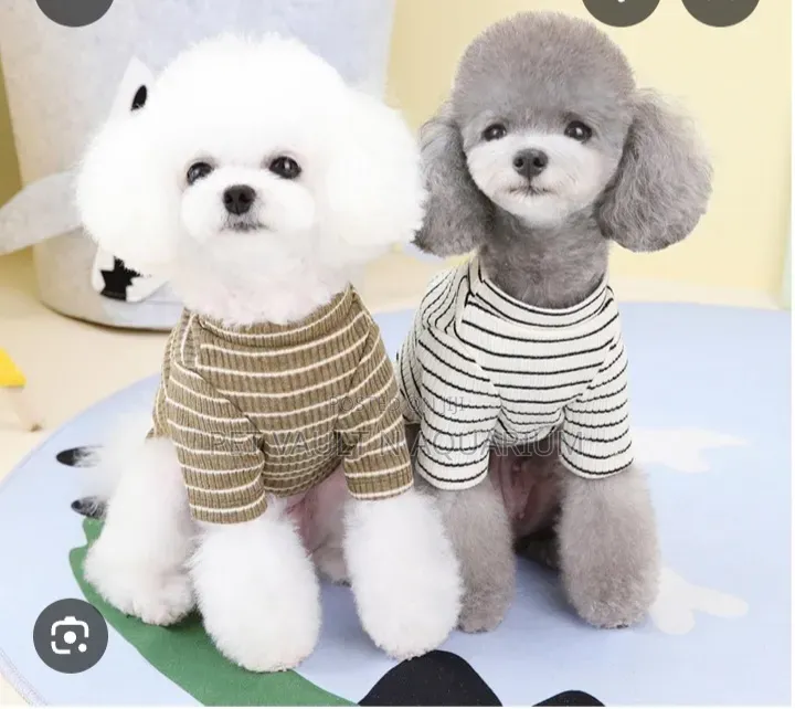 Striped Clothes for Dogs/ Cats