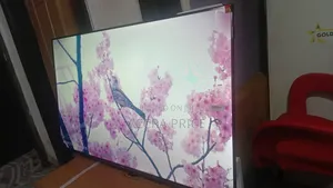 Babes and Dudes Televisions 43inches Smart TCL Televisions