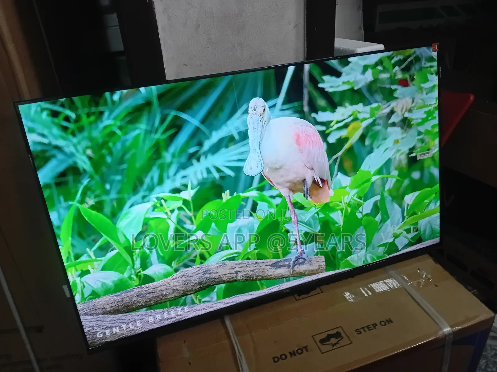 Qled 43" Smart Tv Uhd,43" Smart Qled Netflix Built-In.