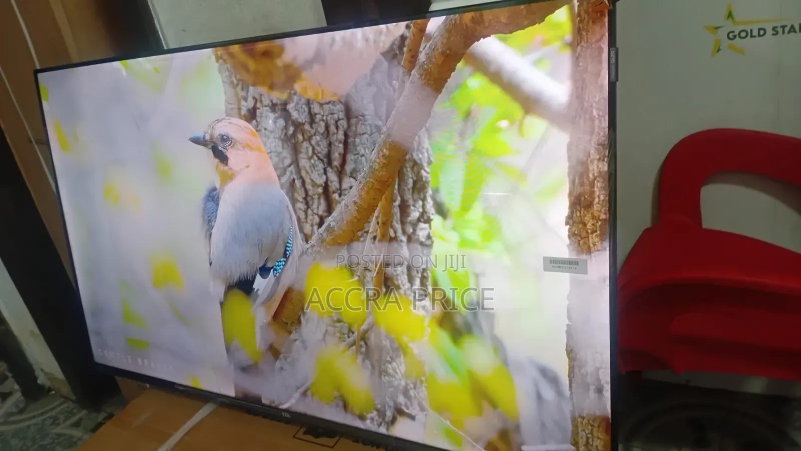 Upper Relief Television 43inches TCL Smart Televisions