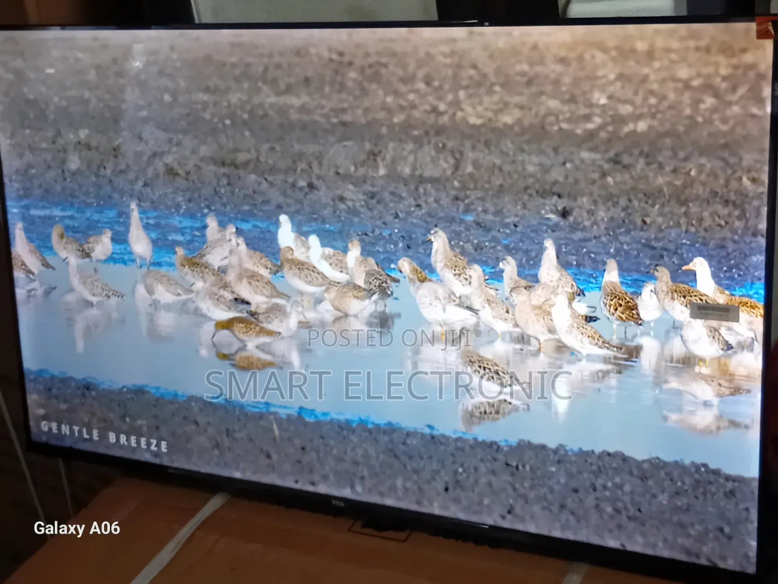 Sleek and Smart TCL 43-Inch Television