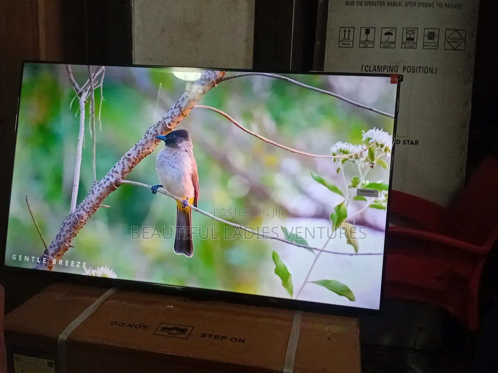 TCL 43-Inch Full Hd Smart Television – Entertainment Redefined