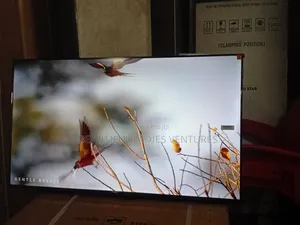 TCL 43” Smart Tv – Vibrant Colors Smooth Performance