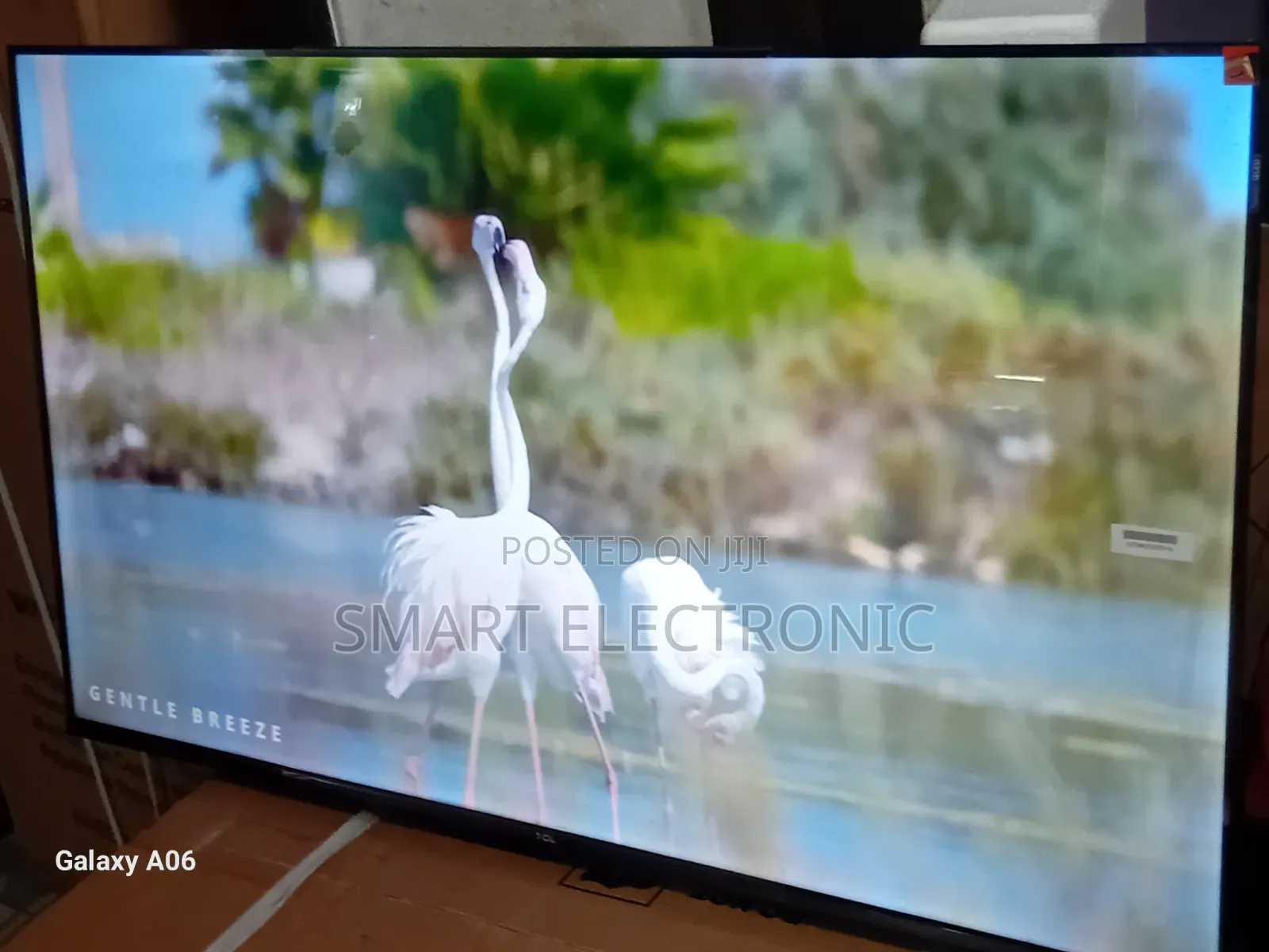 Upgrade Your Living Room With TCL 43-Inch Tv