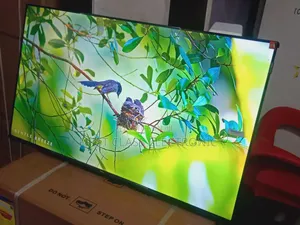 TCL 43-Inch Qled Smart Tv, Tv That Defines Affordable Luxury Feel