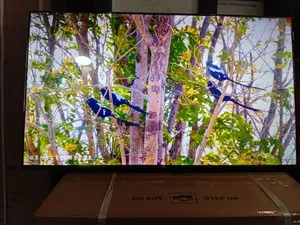 TCL 43-Inch Led Tv – Stunning Visual Performance