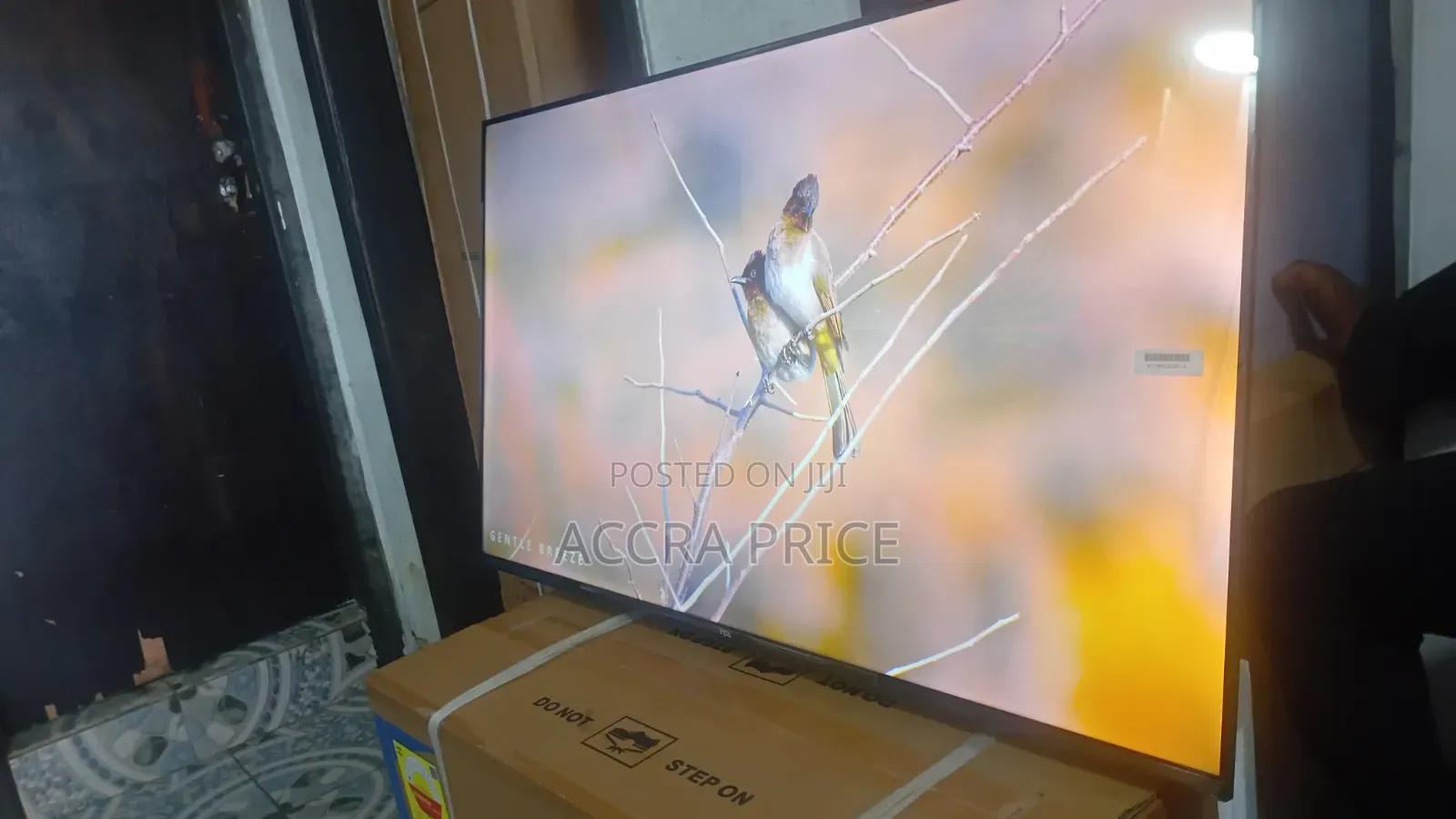 No Dulling Moment Television 43inches TCL Smart Televisions