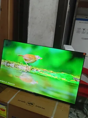 TCL 43” Smart Led Tv – Perfect for Home Entertainment