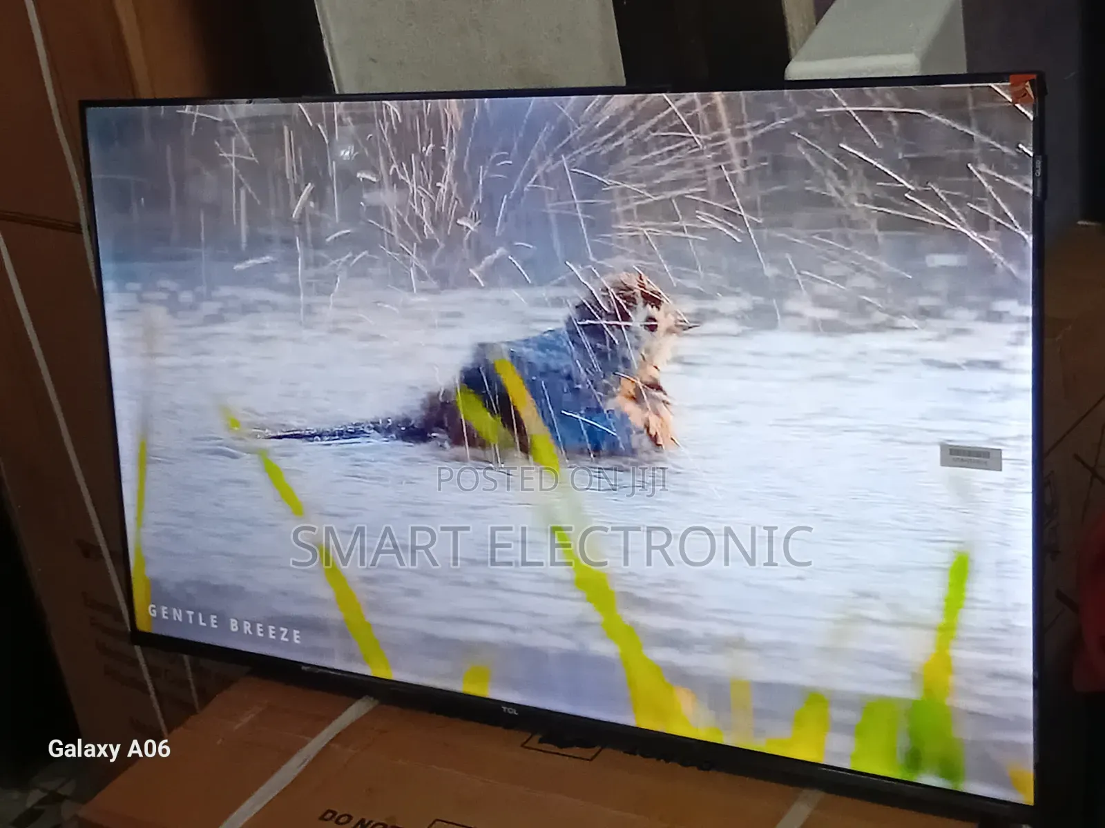 TCL 43-Inch Tv – Big Screen, Bigger Experience