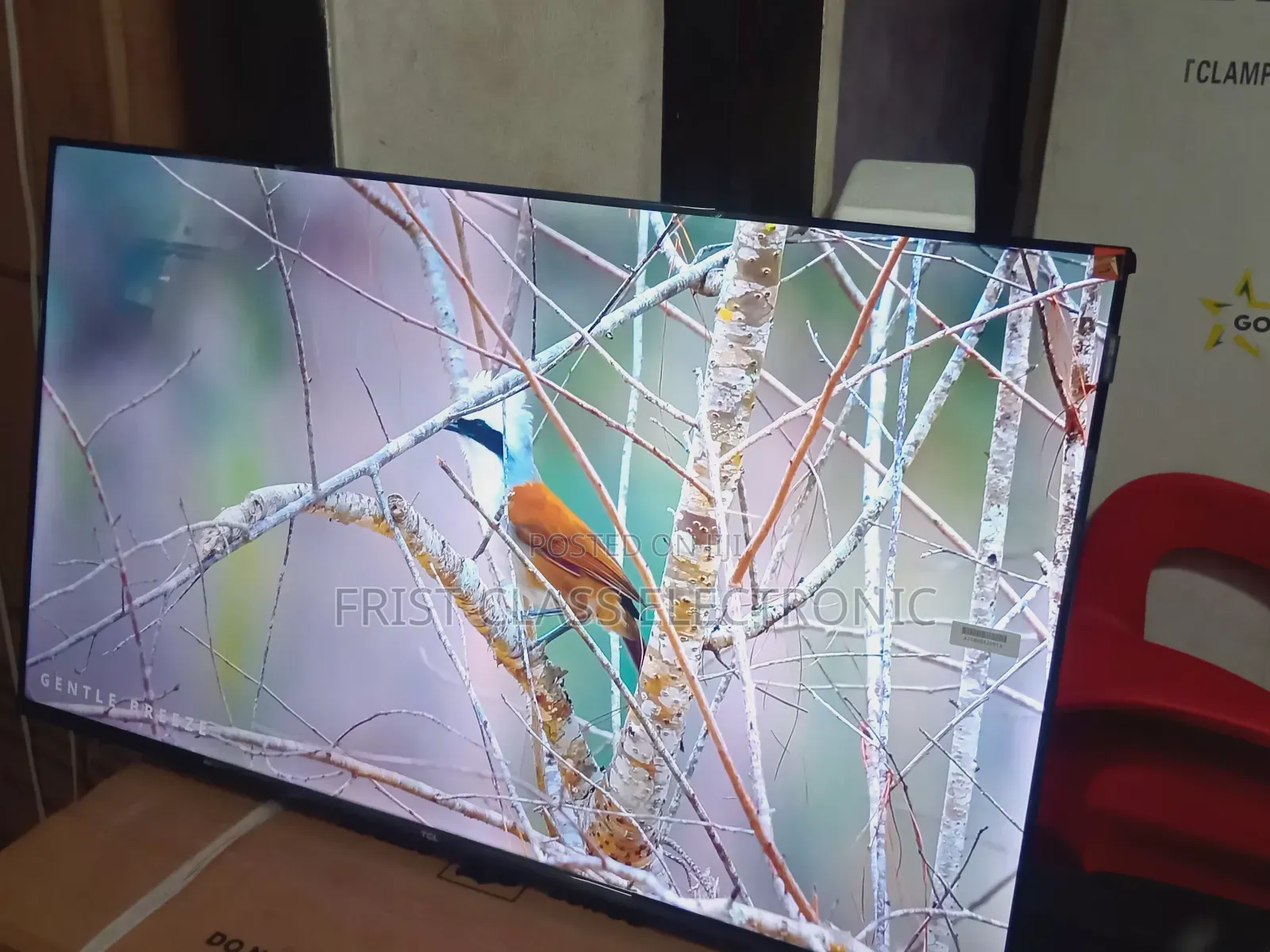 TCL 43-Inch Qled Smart Tv, Tv That Turns Movie Nights Into Cinema Mood