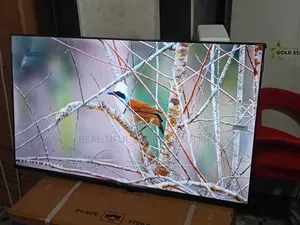 TCL 43-Inch Television – Enjoy Cinema at Home