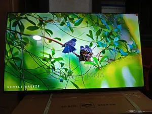 Enjoy Cinematic Clarity With TCL 43” Led Tv