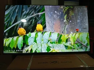 Enjoy Cinematic Clarity With TCL 43” Led Tv