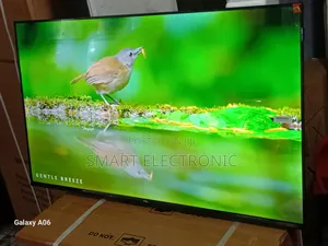 The Perfect Viewing Companion – TCL 43-Inch Tv