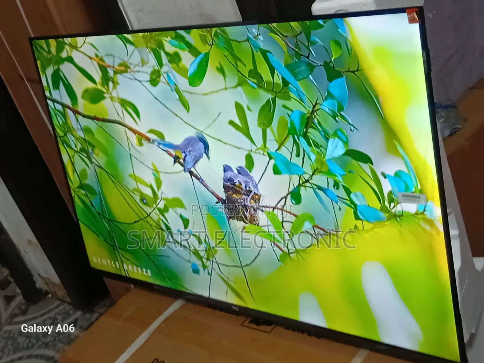 The Perfect Viewing Companion – TCL 43-Inch Tv