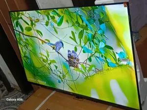 The Perfect Viewing Companion – TCL 43-Inch Tv