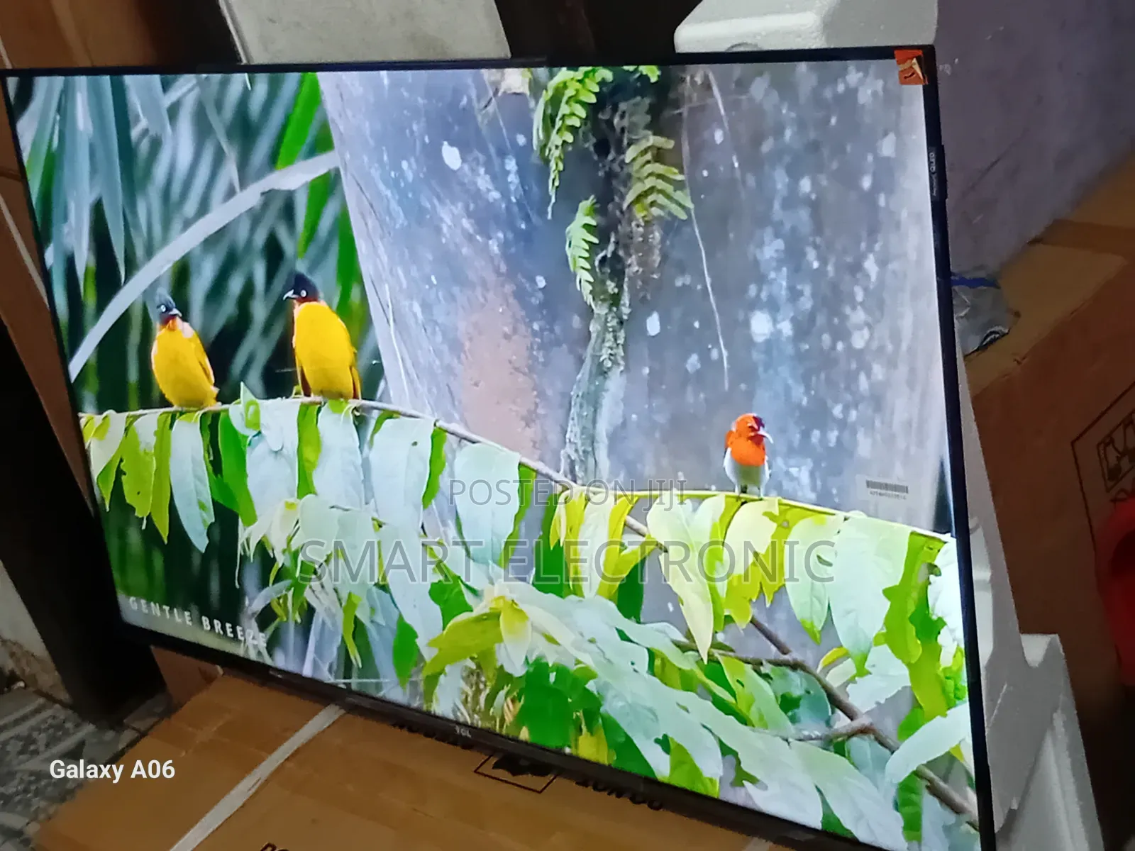 TCL 43-Inch Led Tv – Style Meets Function
