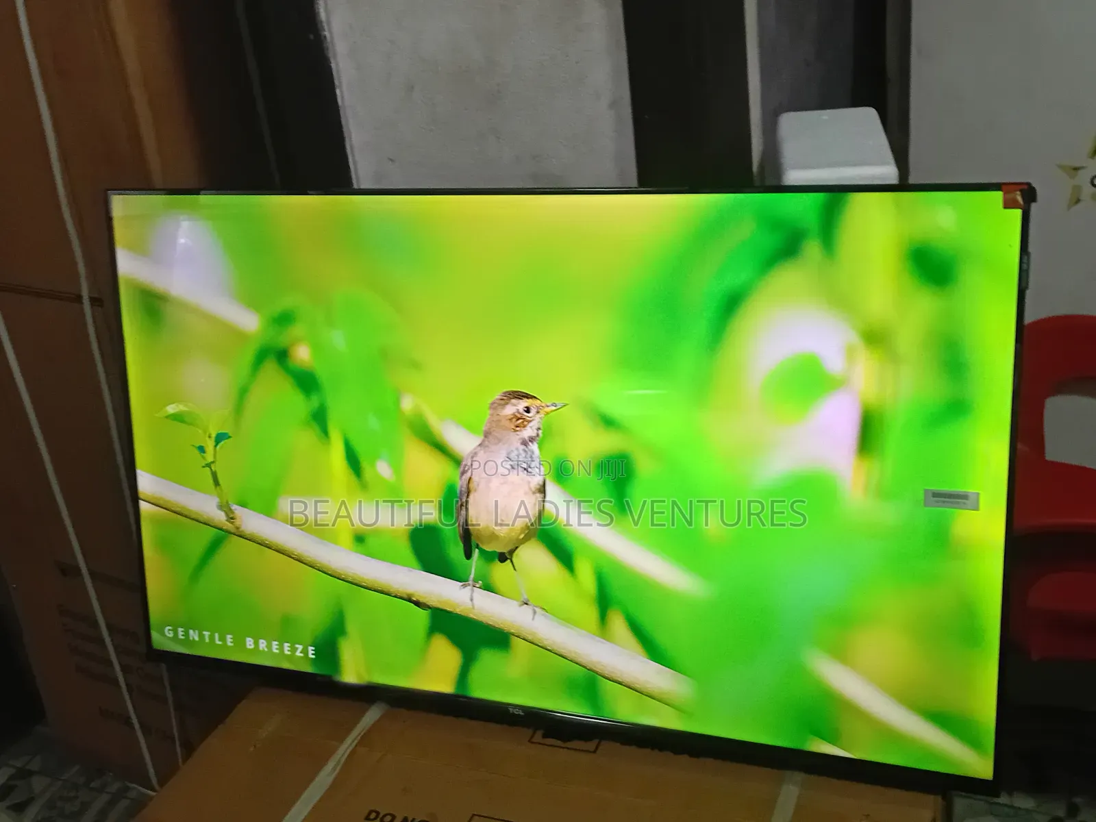 TCL 43-Inch Led Tv – Great Value, Great Quality