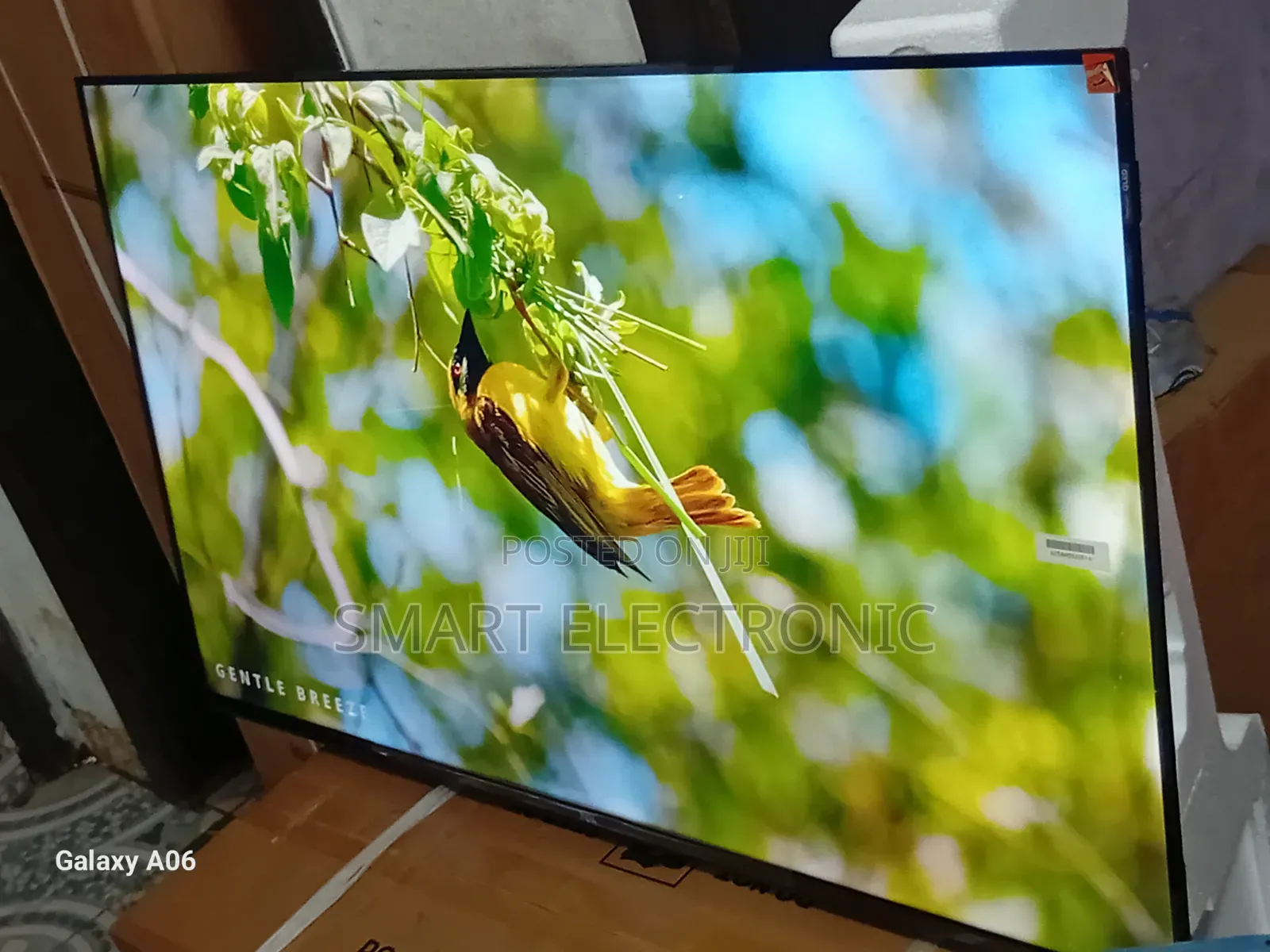 TCL 43-Inch Tv – Smart Features, Stunning Quality