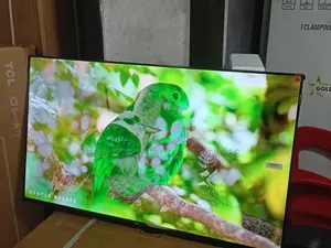 TCL 43” Full Hd Tv – Sharp Visual Experience