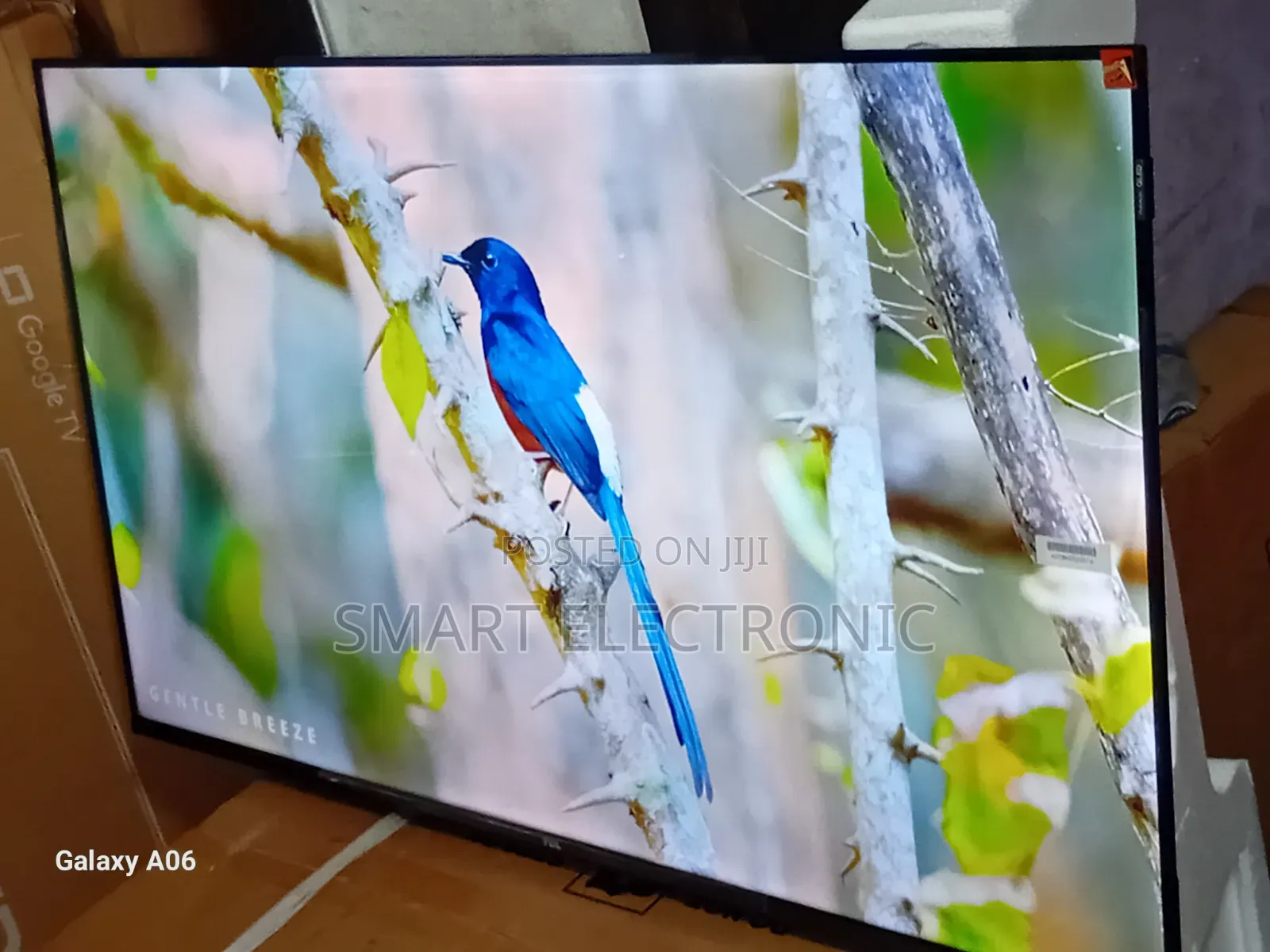 Transform Your Space With TCL 43-Inch Tv