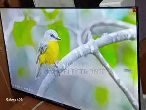 TCL 43-Inch Smart Tv – Your Home Cinema Solution