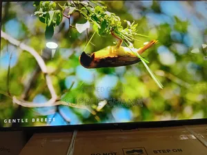 TCL 43” Tv – Perfect Size, Powerful Performance