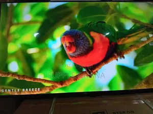 TCL 43” Tv – Perfect Size, Powerful Performance
