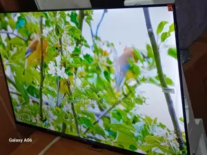 Big Entertainment in a Compact TCL 43-Inch Tv