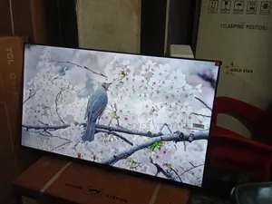 TCL 43” Smart Led Tv – Fast, Clear Reliable