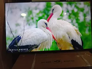 TCL 43-Inch Tv – The Smart Entertainment Choice
