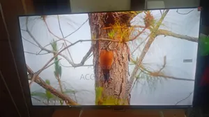 Dream World Television 43inches TCL Smart Televisions