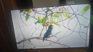 Dream World Television 43inches TCL Smart Televisions