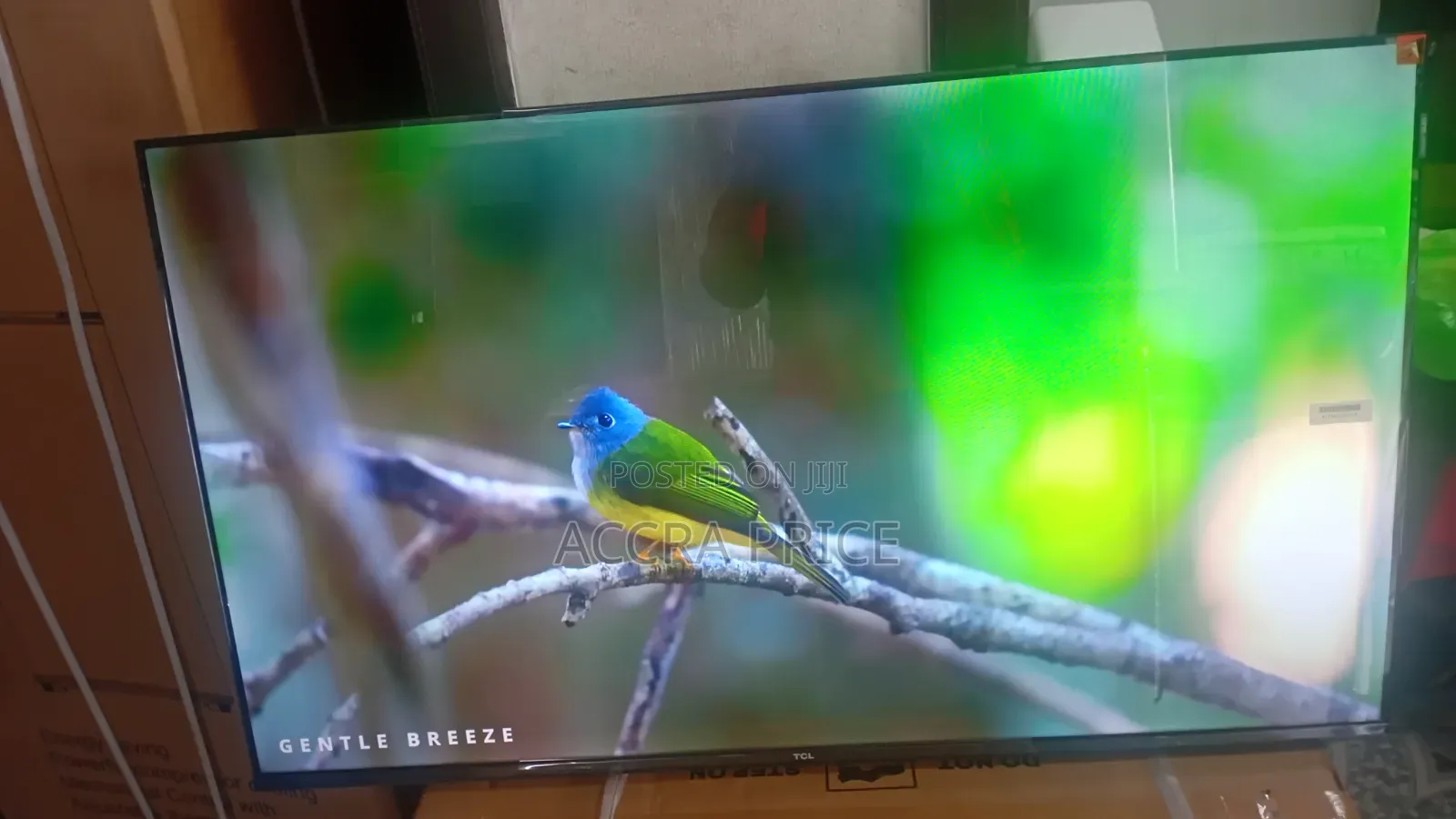 Living Dreams Television 43inches TCL Smart Televisions