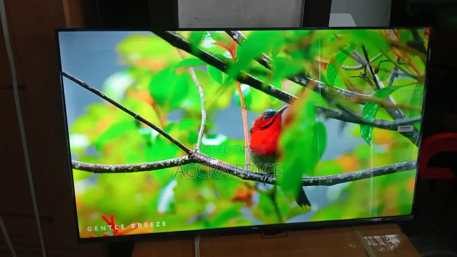 Real Life Television 43inches TCL Smart Televisions