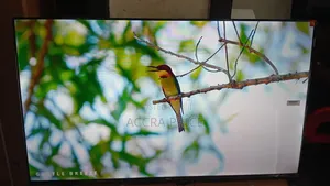Real Life Television 43inches TCL Smart Televisions